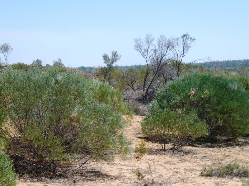 Lot 33 Wheatley Road, Loxton SA 5333