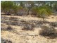 Lot 33 Wheatley Road, Loxton SA 5333