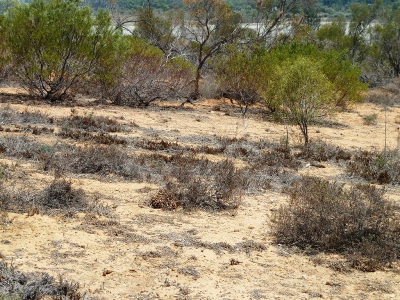 Lot 33 Wheatley Road, Loxton SA 5333