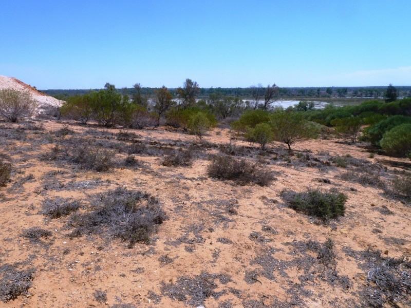 Lot 33 Wheatley Road, Loxton SA 5333
