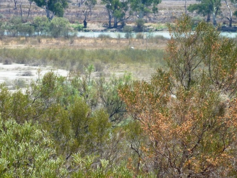 Lot 33 Wheatley Road, Loxton SA 5333