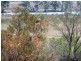 Lot 33 Wheatley Road, Loxton SA 5333
