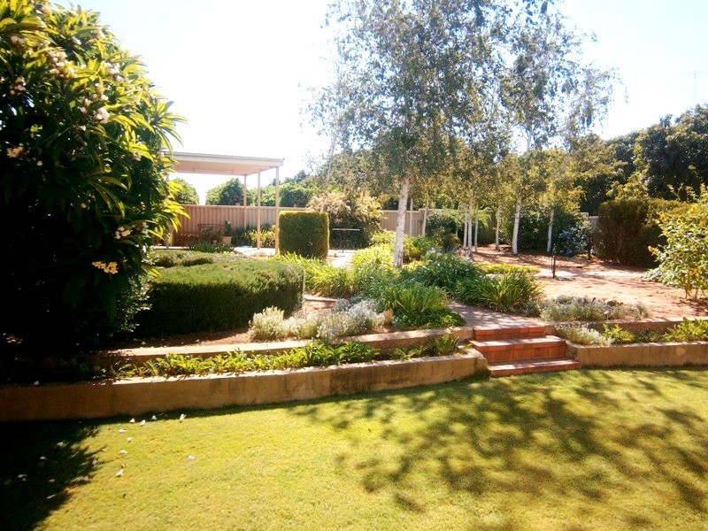 60 Lawrie Terrace, Waikerie SA 5330