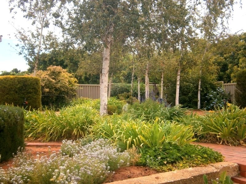 60 Lawrie Terrace, Waikerie SA 5330