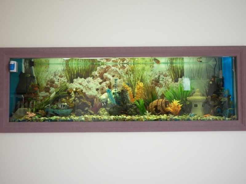 8 Cook Street, Renmark SA 5341