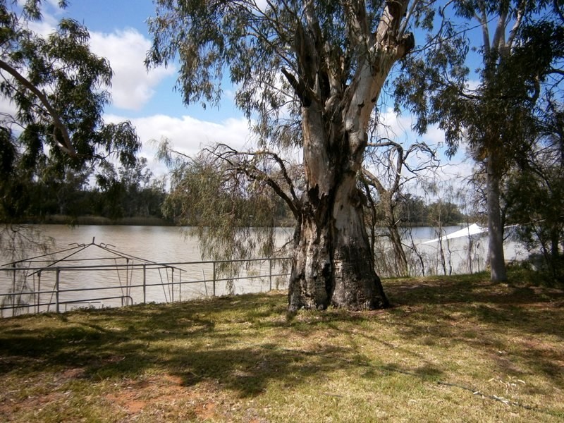 126 Scotts Creek Shack Site Road, Morgan SA 5320