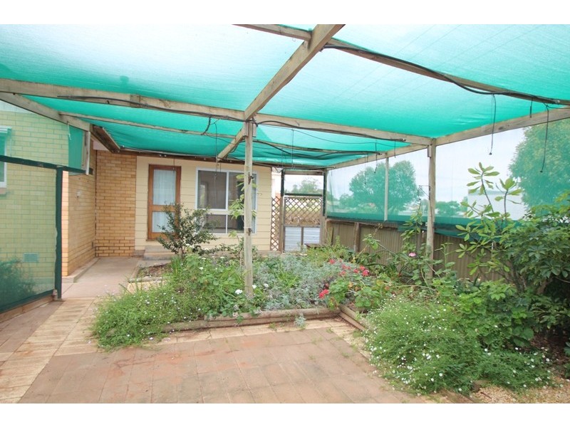 19 Farmer Street, Barmera SA 5345