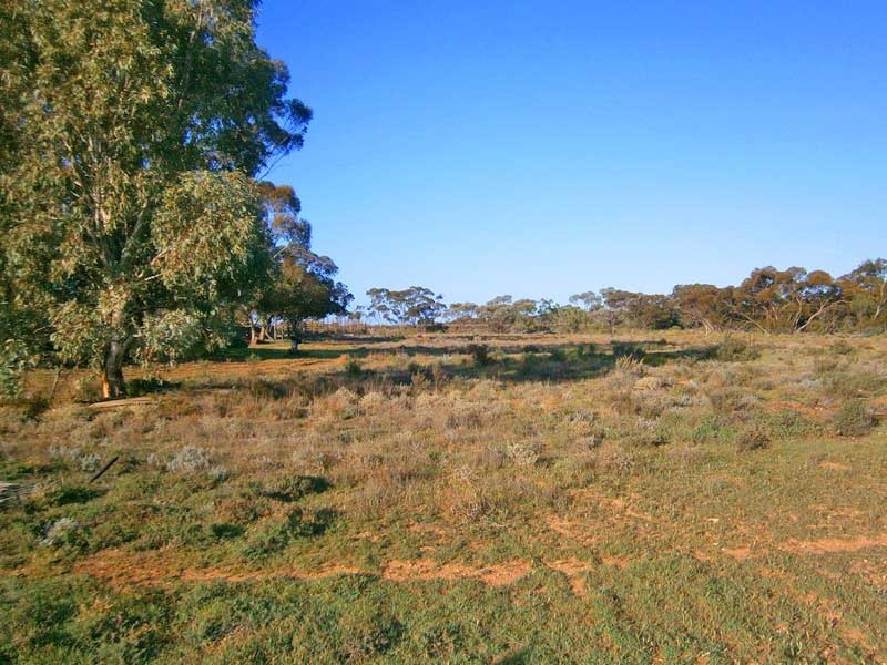 90 Gran Road, Winkie SA 5343