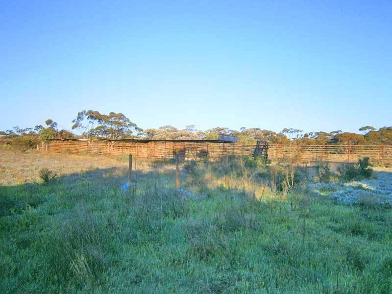 90 Gran Road, Winkie SA 5343