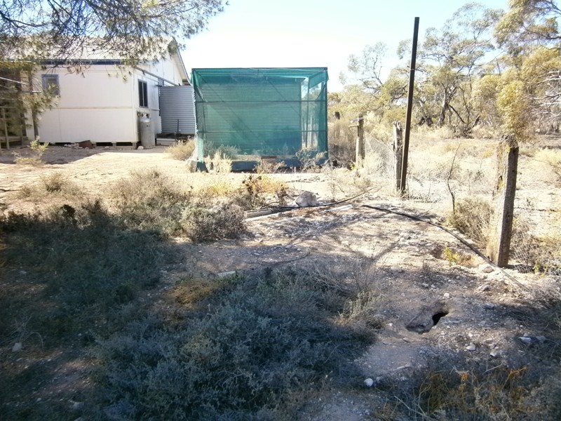 179 Mantung Road, Mantung SA 5308