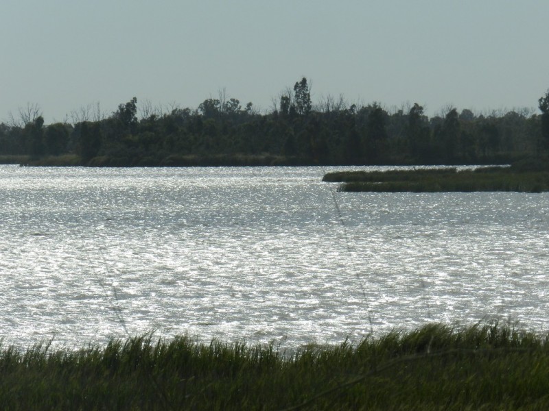 8 Swanbury Road, Moorook SA 5332