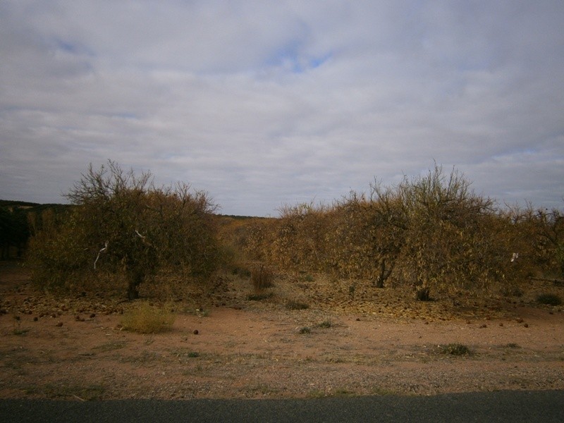 76 Lewis Road, Ramco SA 5322