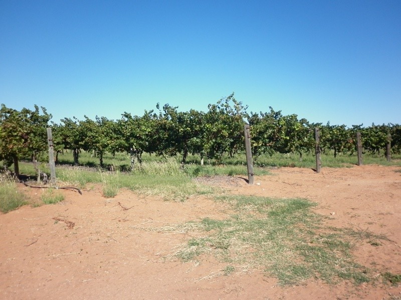 Lot 623 Kulkyne Street, Renmark SA 5341