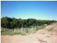 Lot 623 Kulkyne Street, Renmark SA 5341