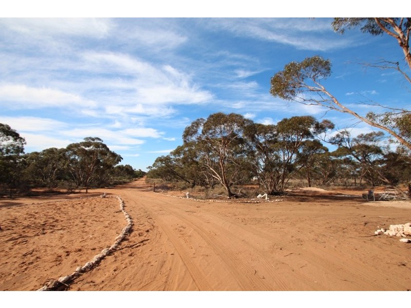 Sect. 320 Sturt Highway, Berri SA 5343