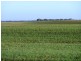 A 101 and 102 Hundred of Holder, Waikerie SA 5330