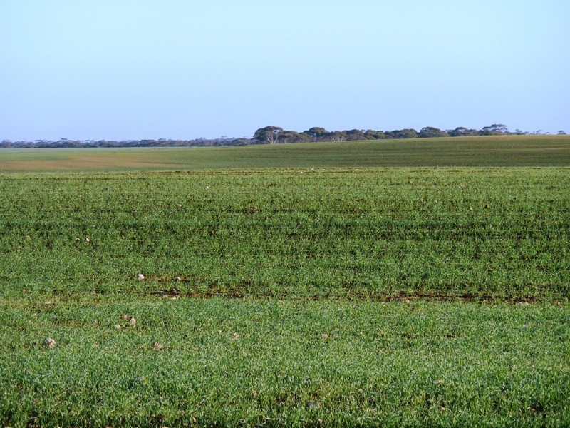 A 101 and 102 Hundred of Holder, Waikerie SA 5330