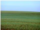 A 101 and 102 Hundred of Holder, Waikerie SA 5330