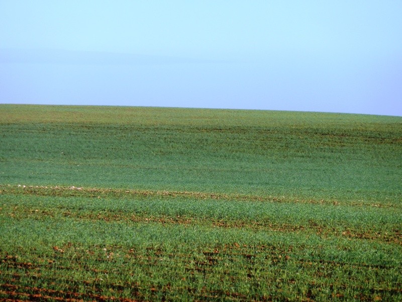 A 101 and 102 Hundred of Holder, Waikerie SA 5330