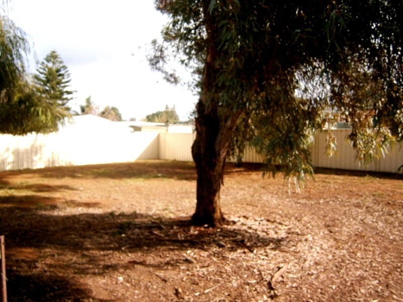 21 Jacob Street, Waikerie SA 5330