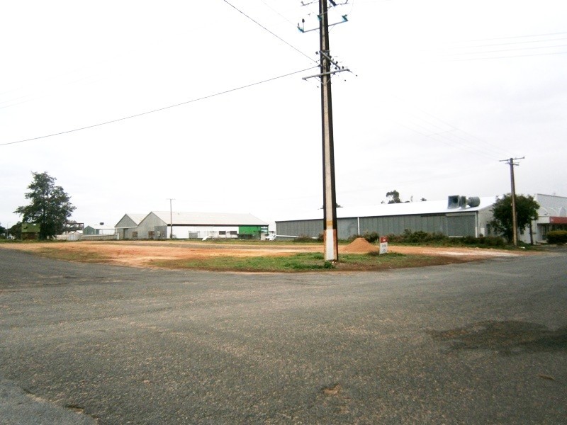 100 Cliff Street, Waikerie SA 5330