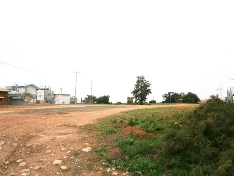 100 Cliff Street, Waikerie SA 5330