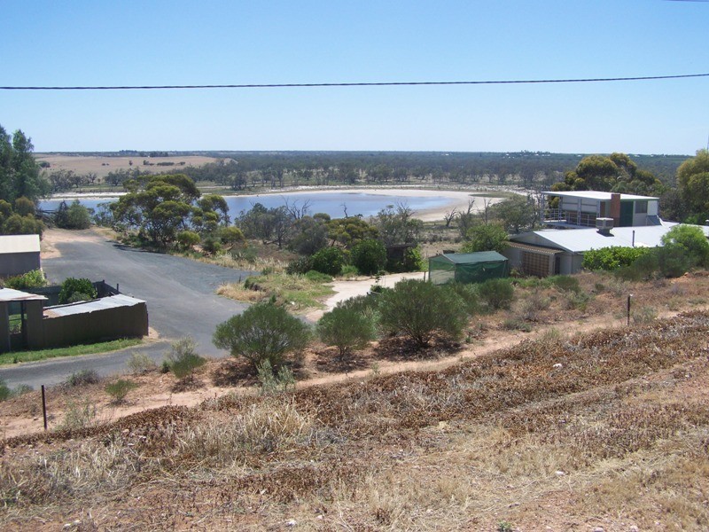 101 Penaluna Crescent, Waikerie SA 5330