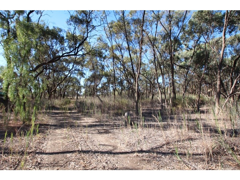 Section 538 Holmes Road, Kingston On Murray SA 5331