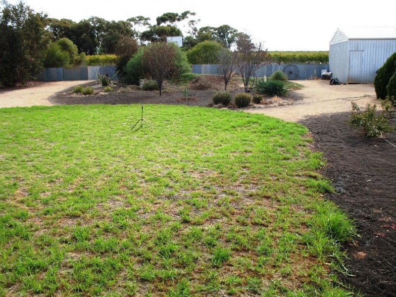 85 Badcoe Road, Loxton SA 5333