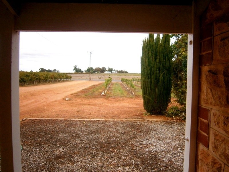 12831 Sturt Highway, Waikerie SA 5330