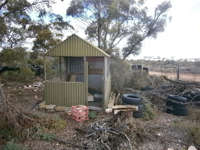 11328 Thiele Highway, Morgan SA 5320