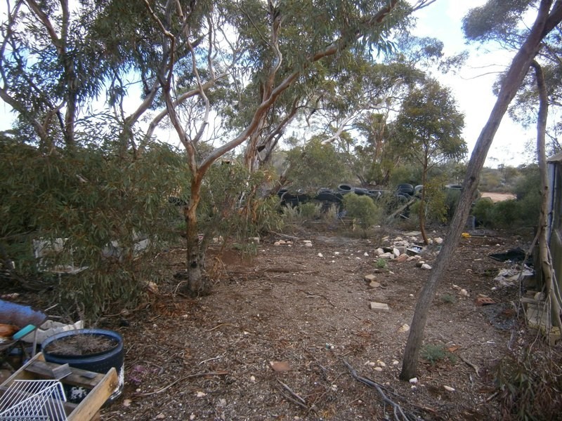 11328 Thiele Highway, Morgan SA 5320