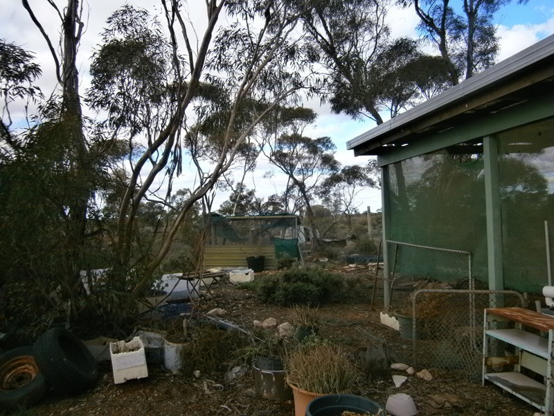 11328 Thiele Highway, Morgan SA 5320