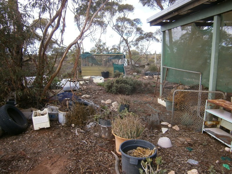 11328 Thiele Highway, Morgan SA 5320