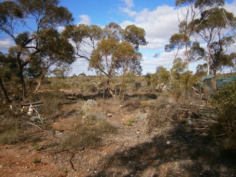 11328 Thiele Highway, Morgan SA 5320