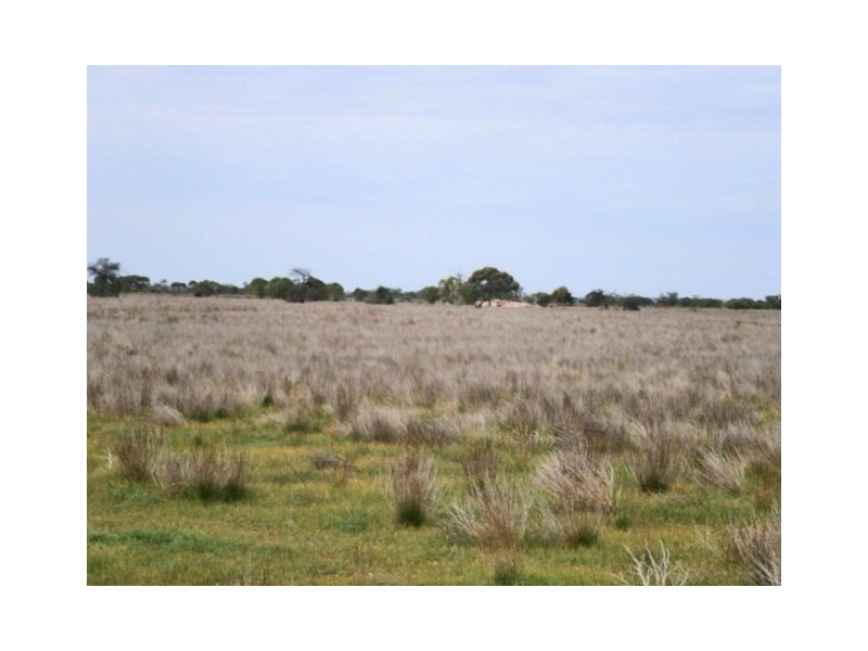 97 Sturt Highway, Blanchetown SA 5357