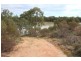 381 Murtho Road, Paringa SA 5340