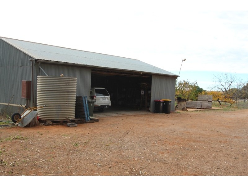 381 Murtho Road, Paringa SA 5340