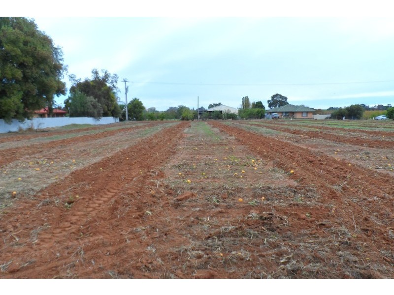 42 Arumpo Street, Renmark SA 5341