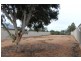 Lot 52 Cook Street, Renmark SA 5341