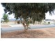 Lot 52 Cook Street, Renmark SA 5341