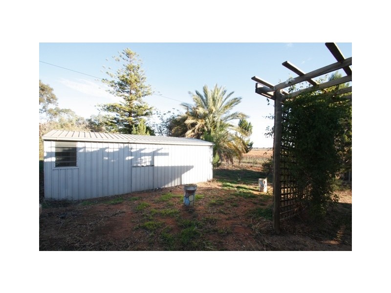 225 ALAMEIN AVE, Loxton SA 5333