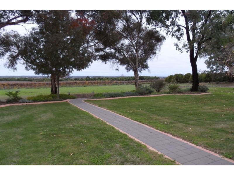 151C Old Cooltong Road, Renmark SA 5341