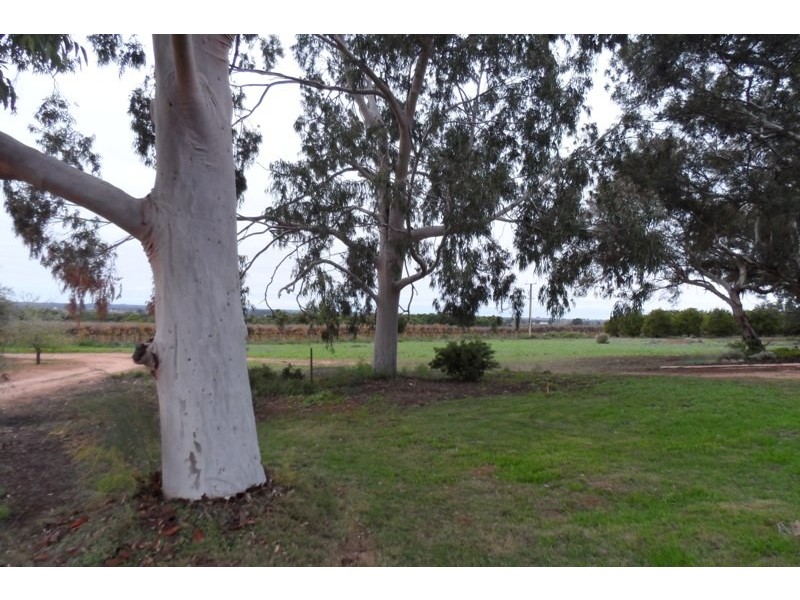 151C Old Cooltong Road, Renmark SA 5341