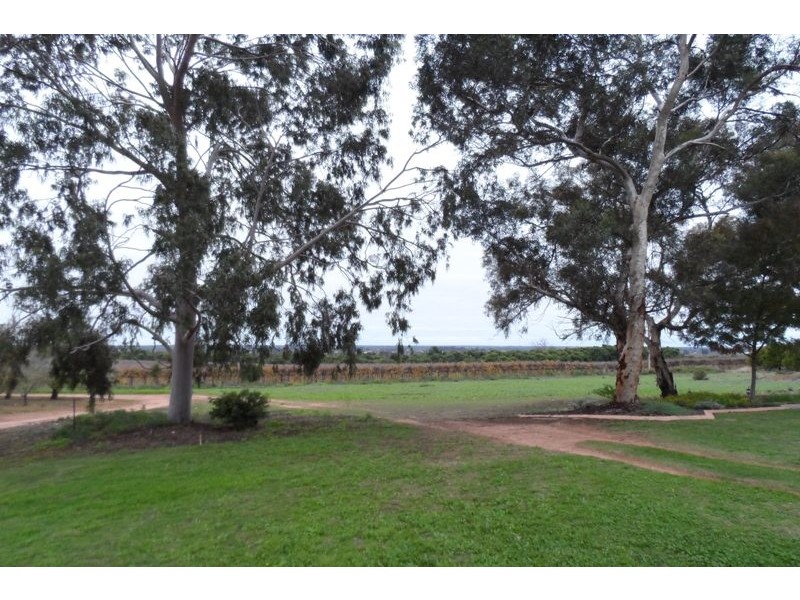 151C Old Cooltong Road, Renmark SA 5341