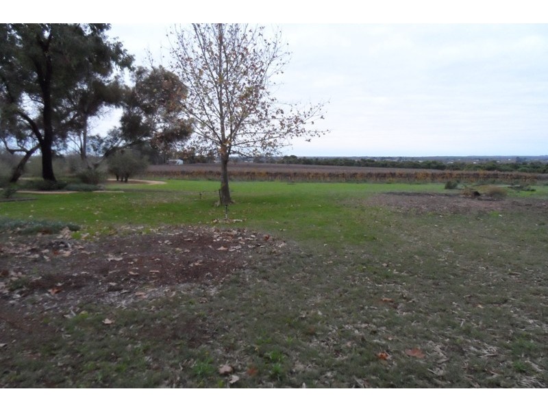 151C Old Cooltong Road, Renmark SA 5341