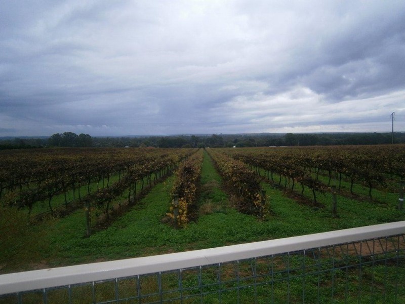 138 Farley Road, Kingston On Murray SA 5331