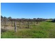 Allotment 497 Arumpo Street, Renmark SA 5341