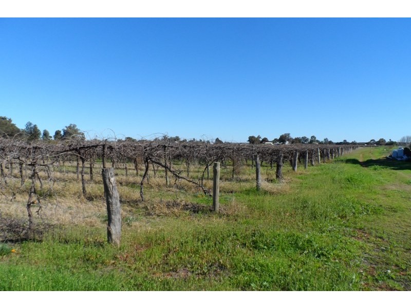 Allotment 497 Arumpo Street, Renmark SA 5341