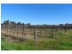 Allotment 497 Arumpo Street, Renmark SA 5341